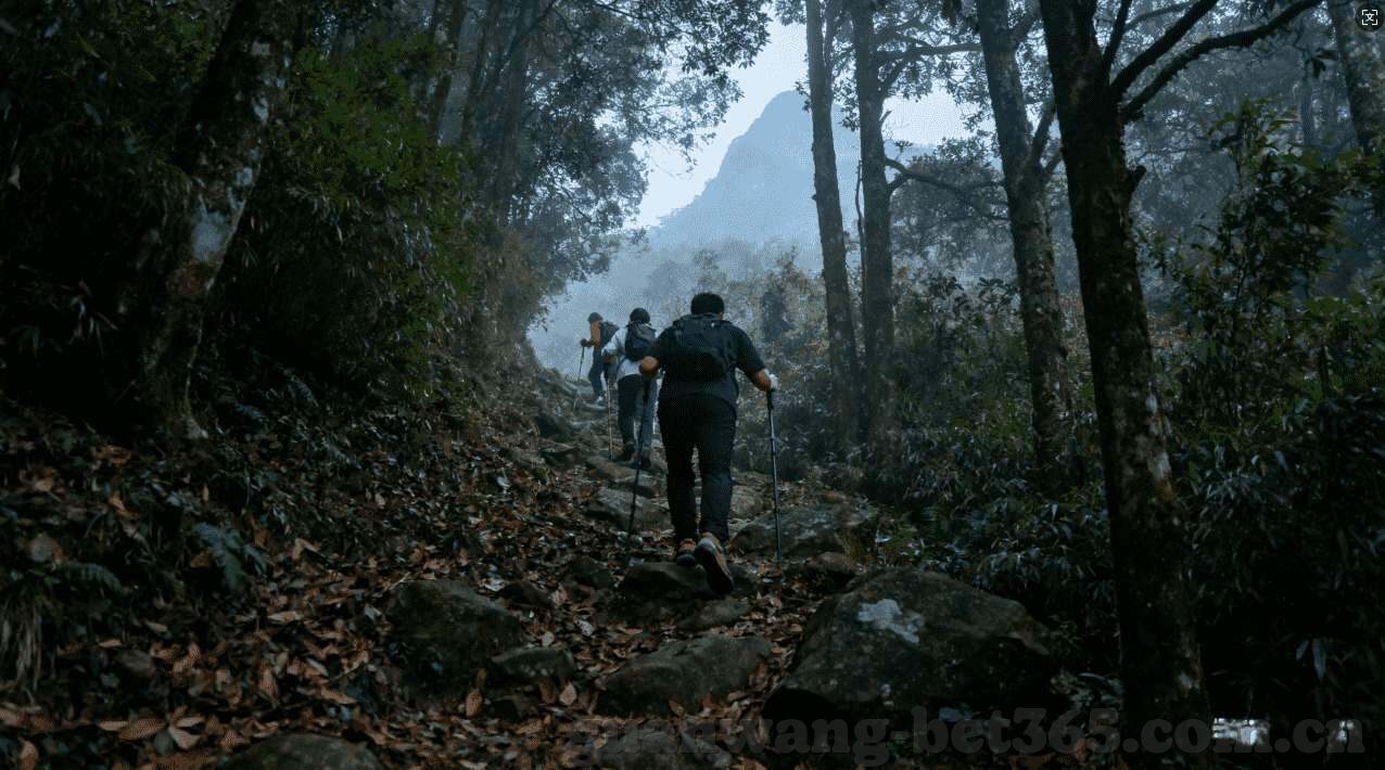 摇骰子玩法动作-摇骰子玩法动作，一场趣味与策略并存的桌面盛宴